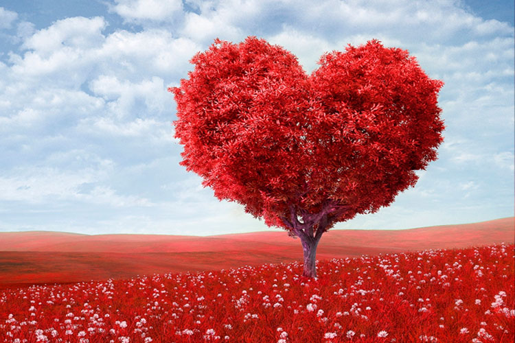 iluminatuesencia-entrevistas